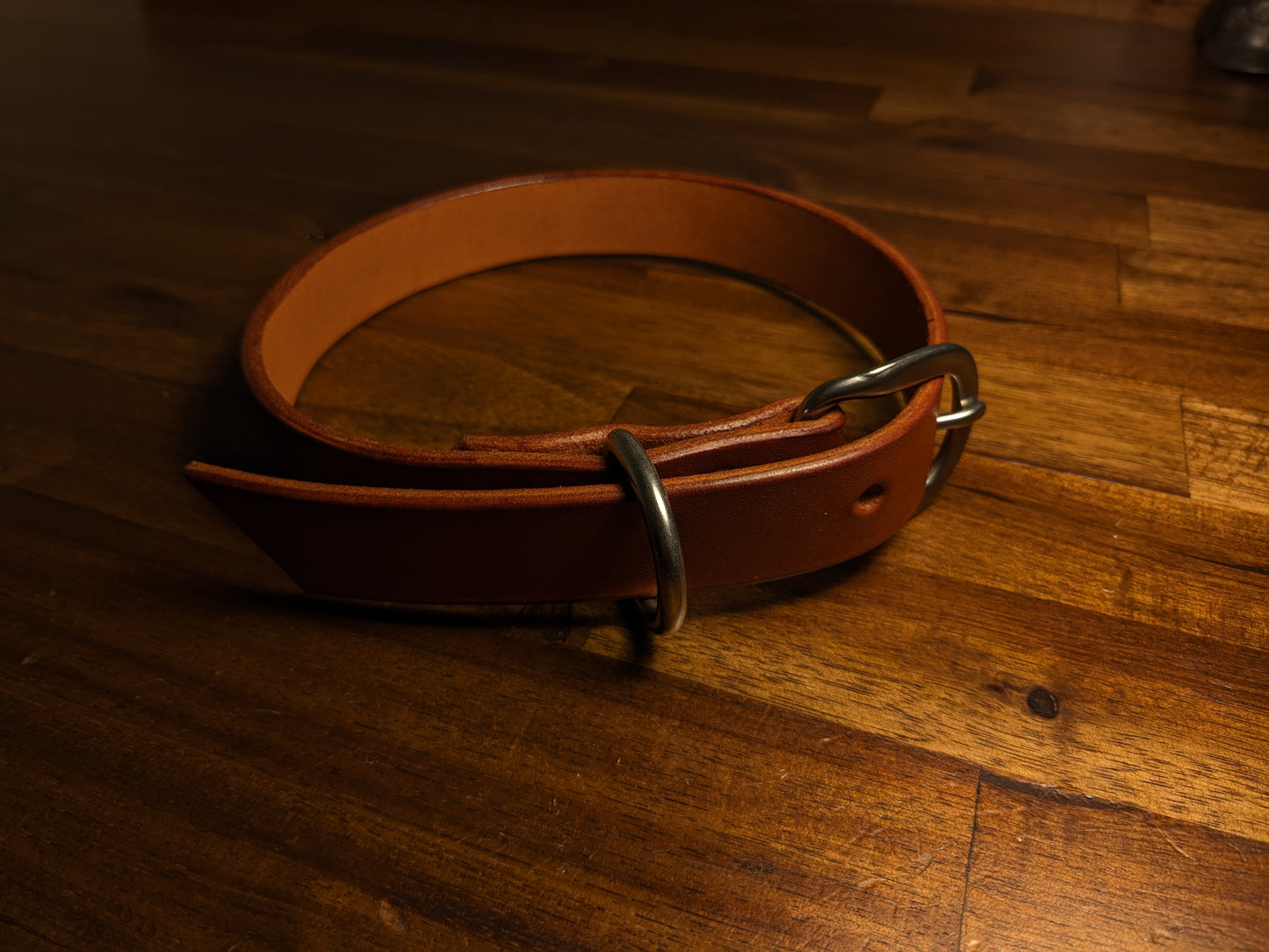 Dog Collar (1 Inch Wide)