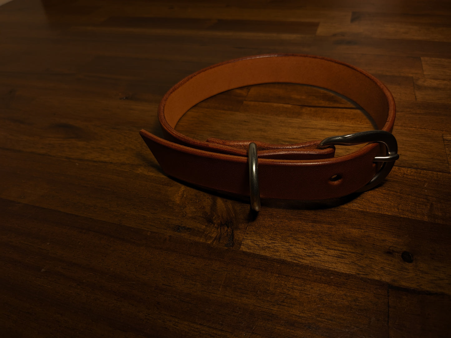 Dog Collar (1 Inch Wide)