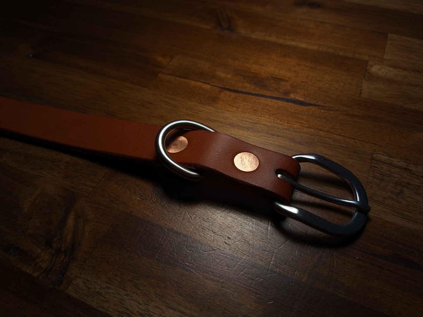 Dog Collar (1 Inch Wide)