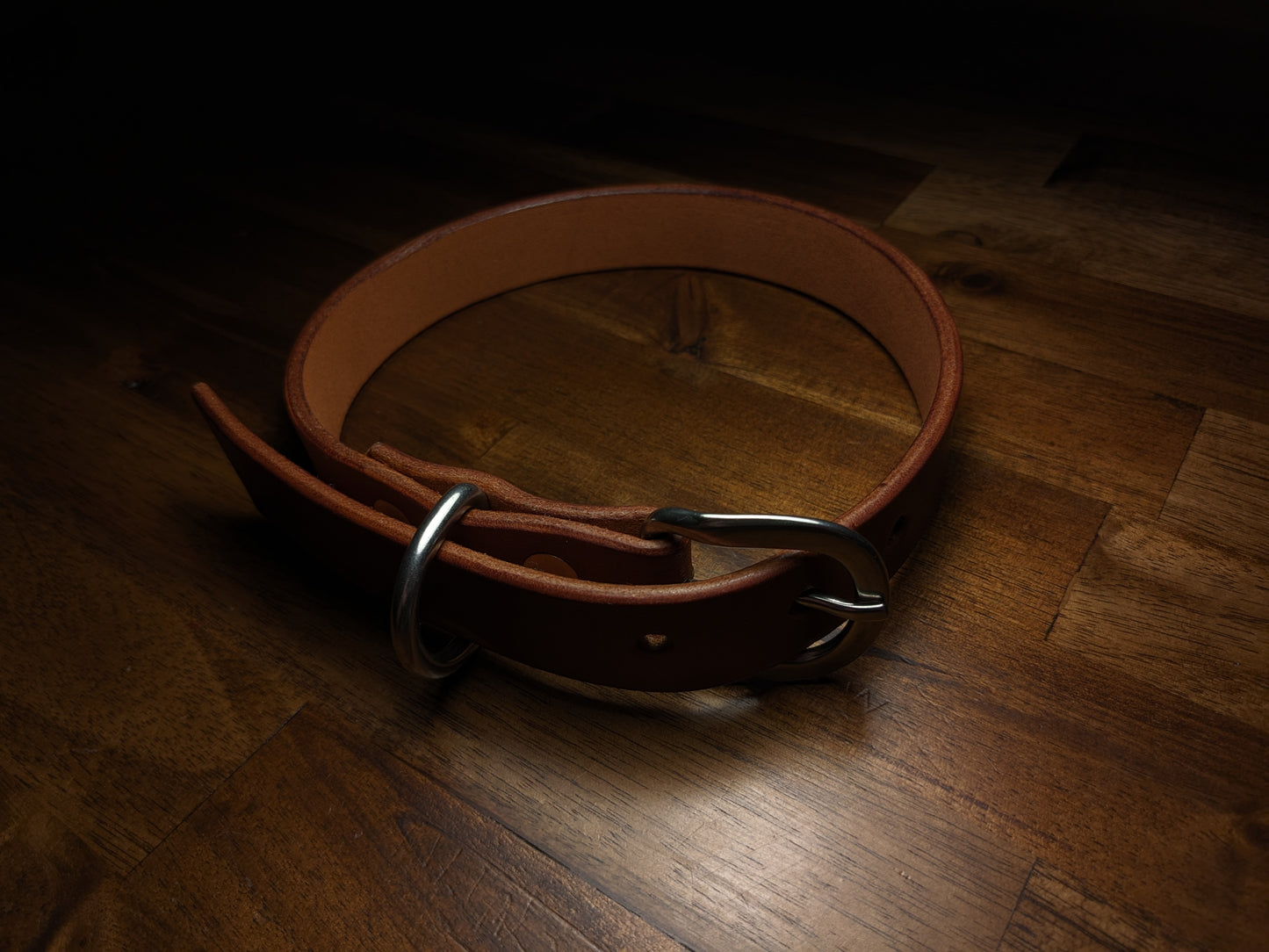 Dog Collar (1 Inch Wide)