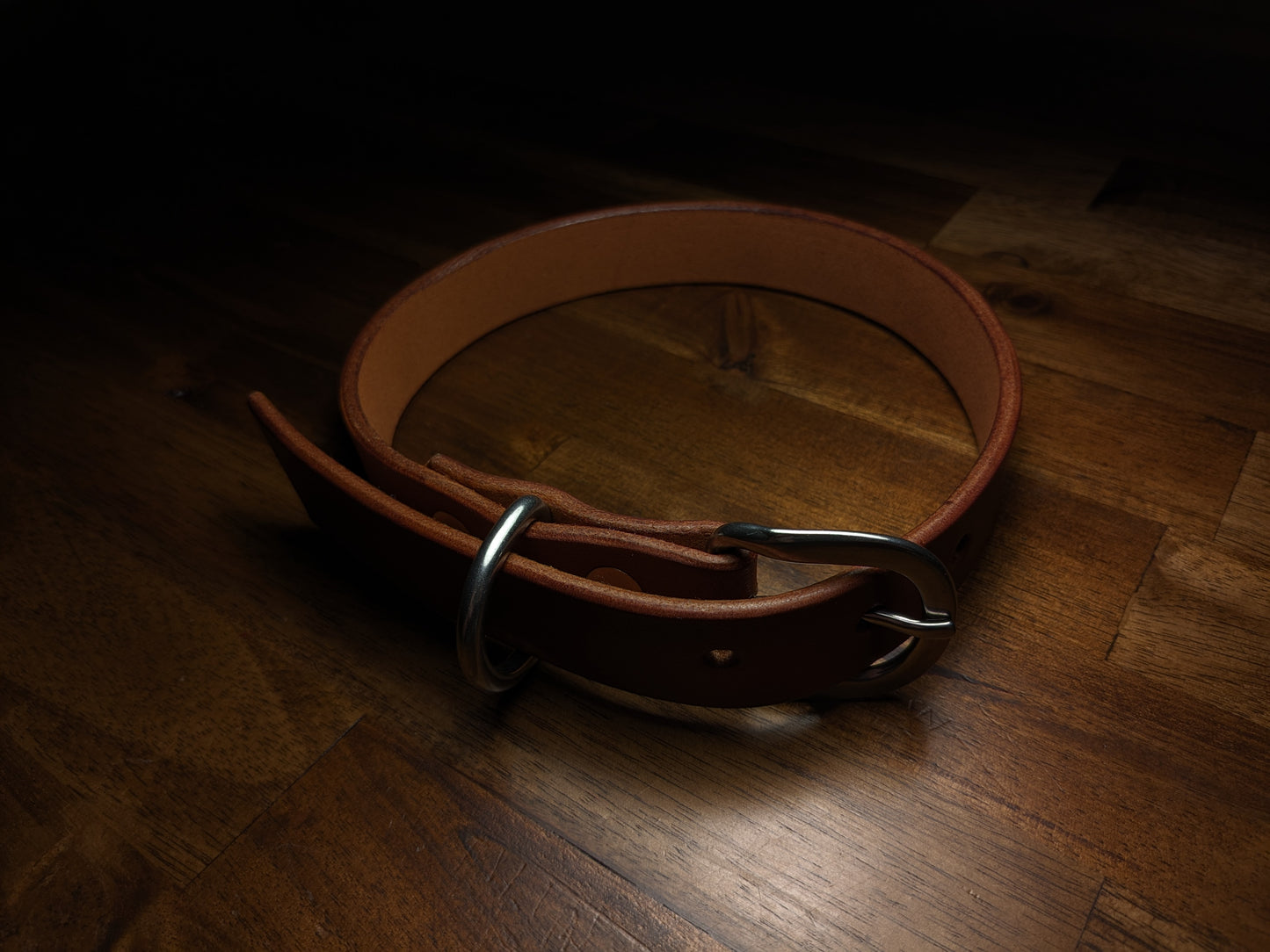 Dog Collar (1 Inch Wide)