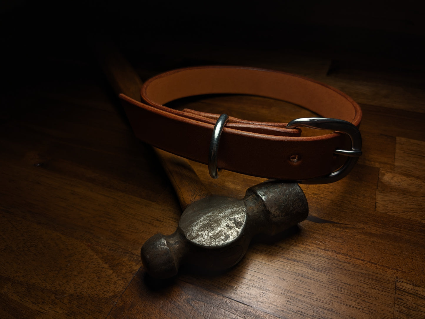 Dog Collar (1 Inch Wide)