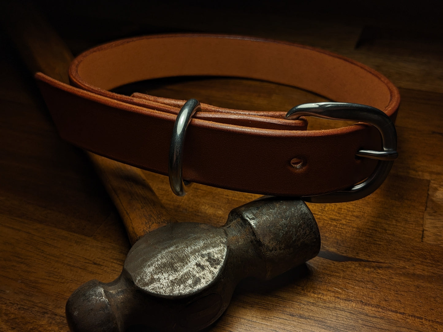 Dog Collar (1 Inch Wide)